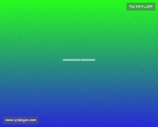 谢晖：足球理解尚处初级阶段 留洋非语言障碍关键因素