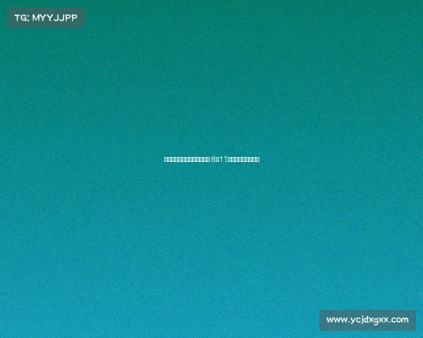 杨瀚森从旧金山转机至波特兰 8月11日起参加训练营备战