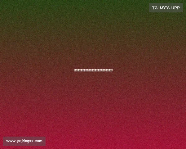 美国选手包揽世界匹克球锦标赛单双打冠军展现强大实力