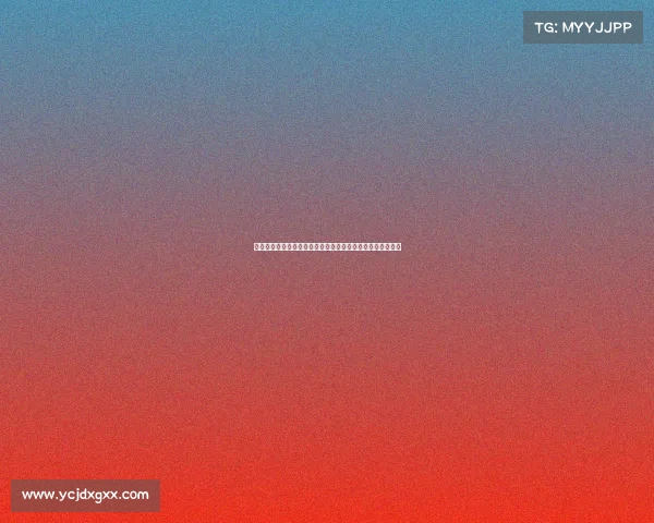 运动员转会制度重大改革：推动公平竞争与市场活力的新举措